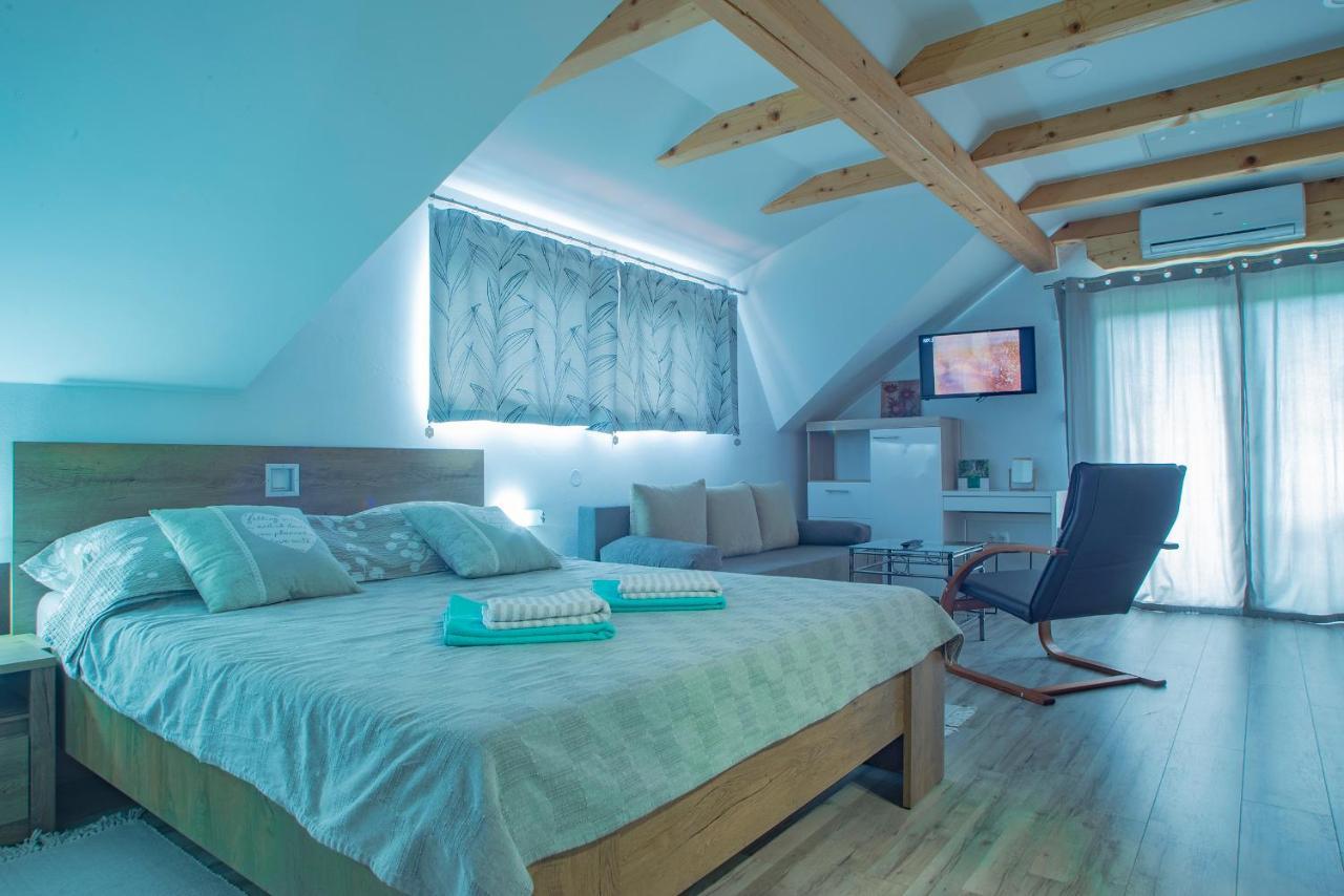 Studio Apartment Karlo Dreznik Grad Bagian luar foto