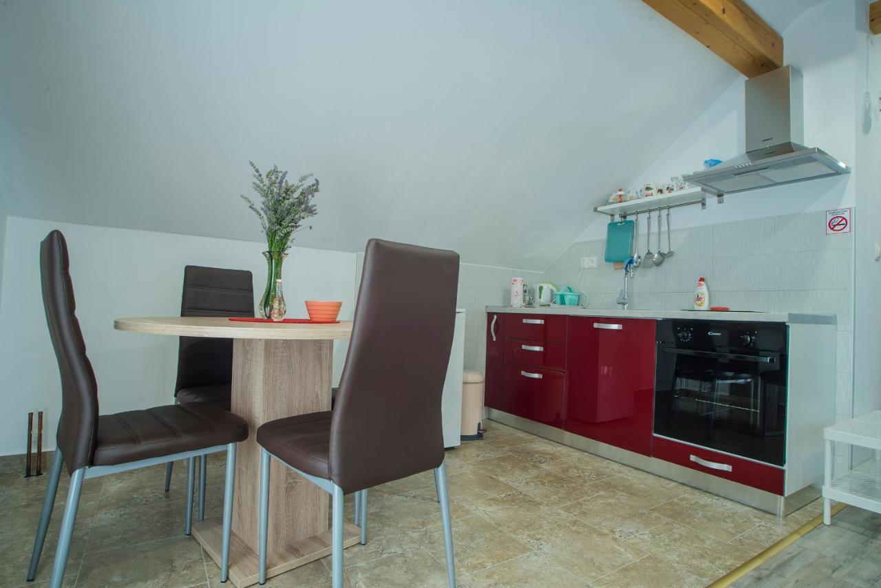 Studio Apartment Karlo Dreznik Grad Bagian luar foto
