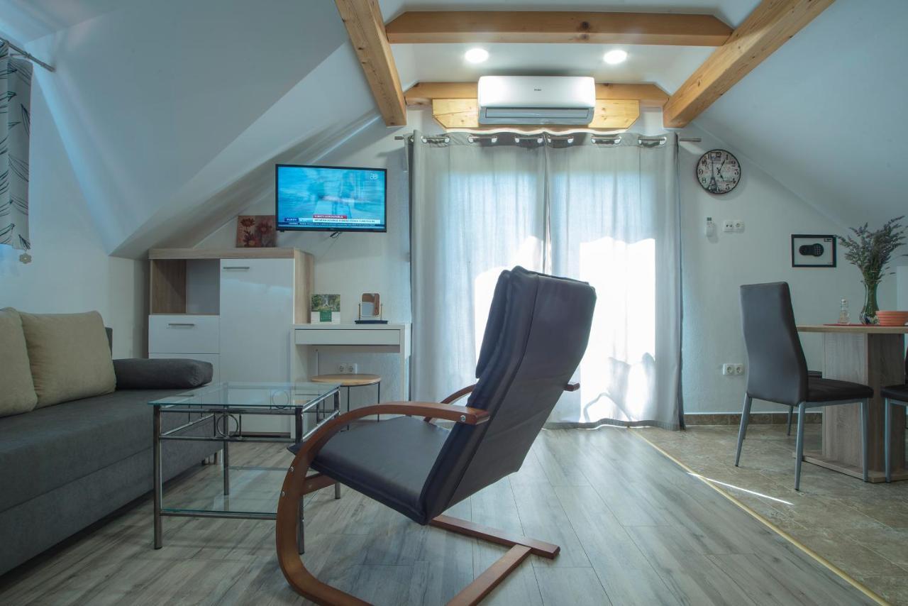 Studio Apartment Karlo Dreznik Grad Bagian luar foto