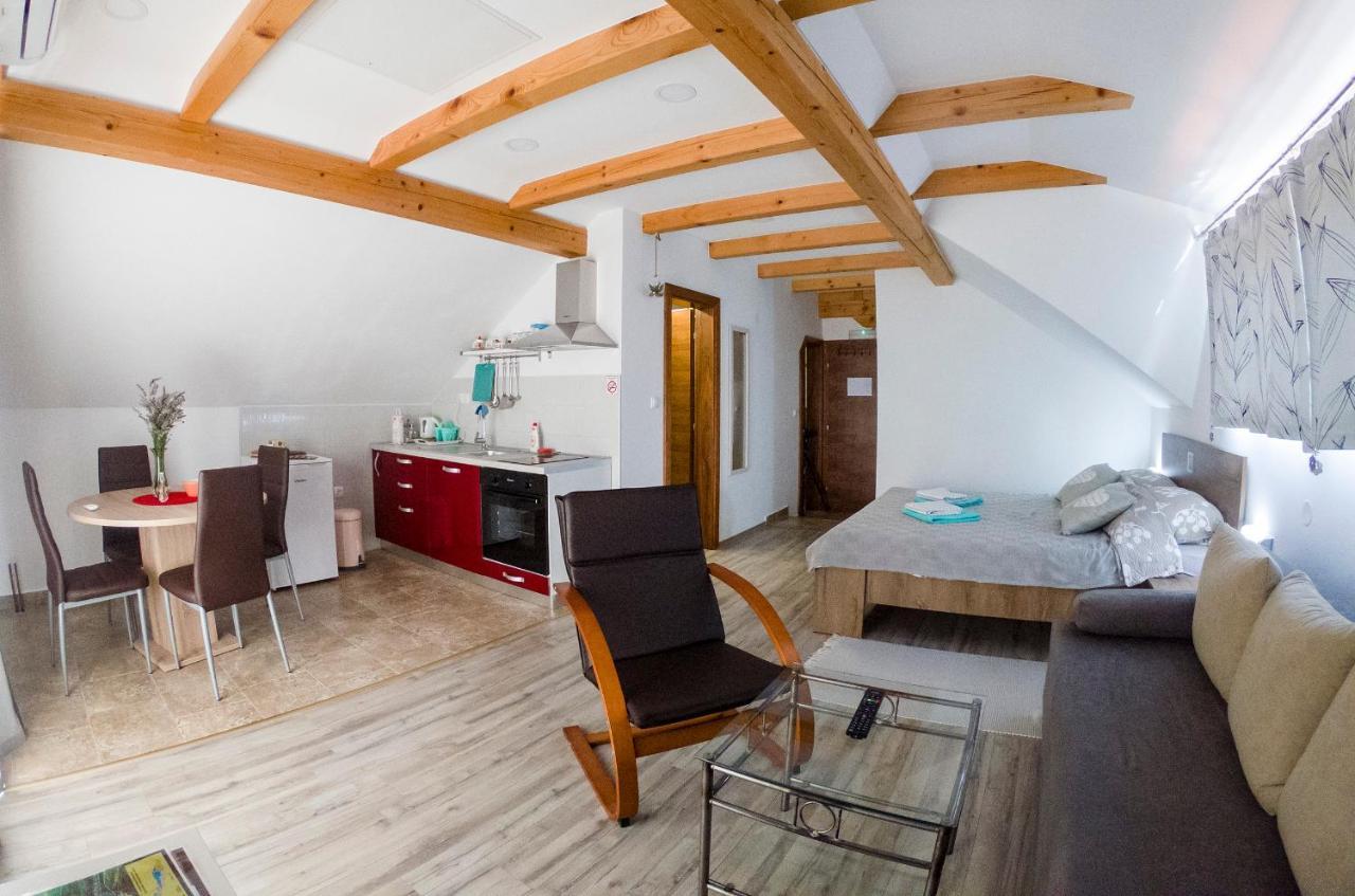 Studio Apartment Karlo Dreznik Grad Bagian luar foto
