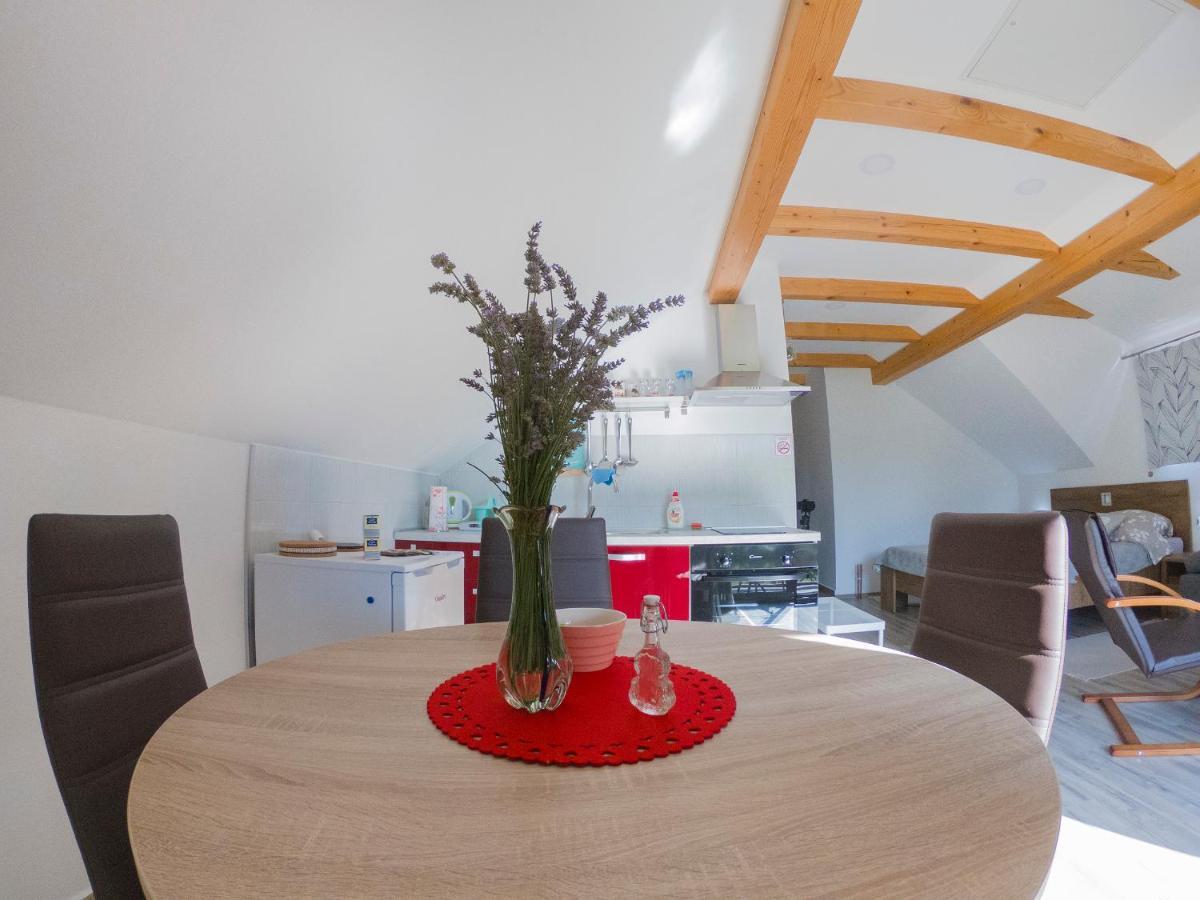 Studio Apartment Karlo Dreznik Grad Bagian luar foto